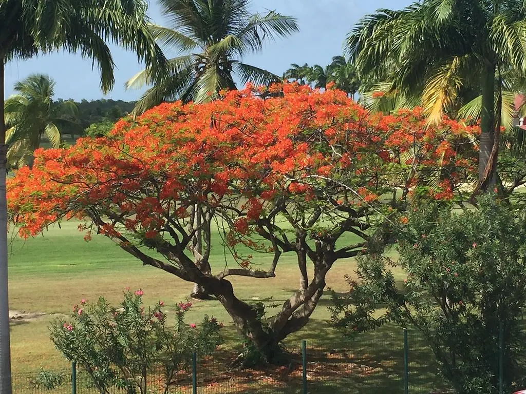 Les Boucaniers Saint-Francois  Guadeloupe